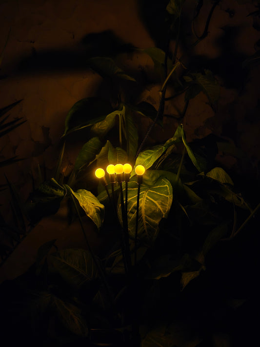 FireFly Solar Lights