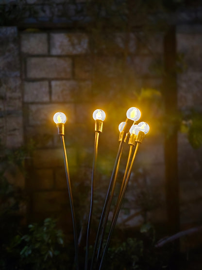 FireFly Solar Lights