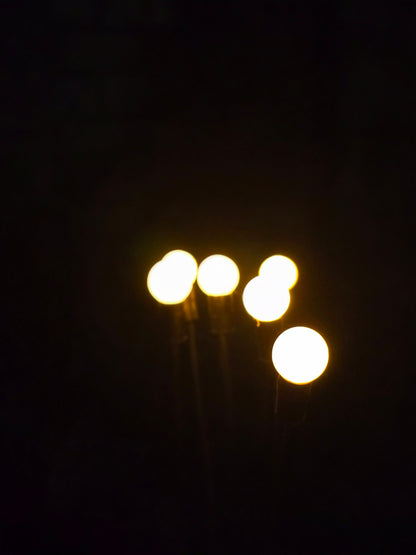 FireFly Solar Lights