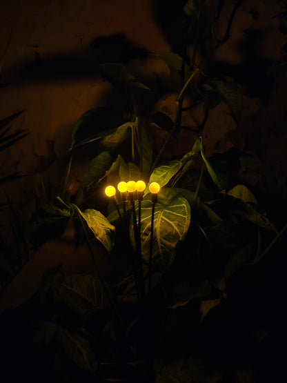 FireFly Solar Lights