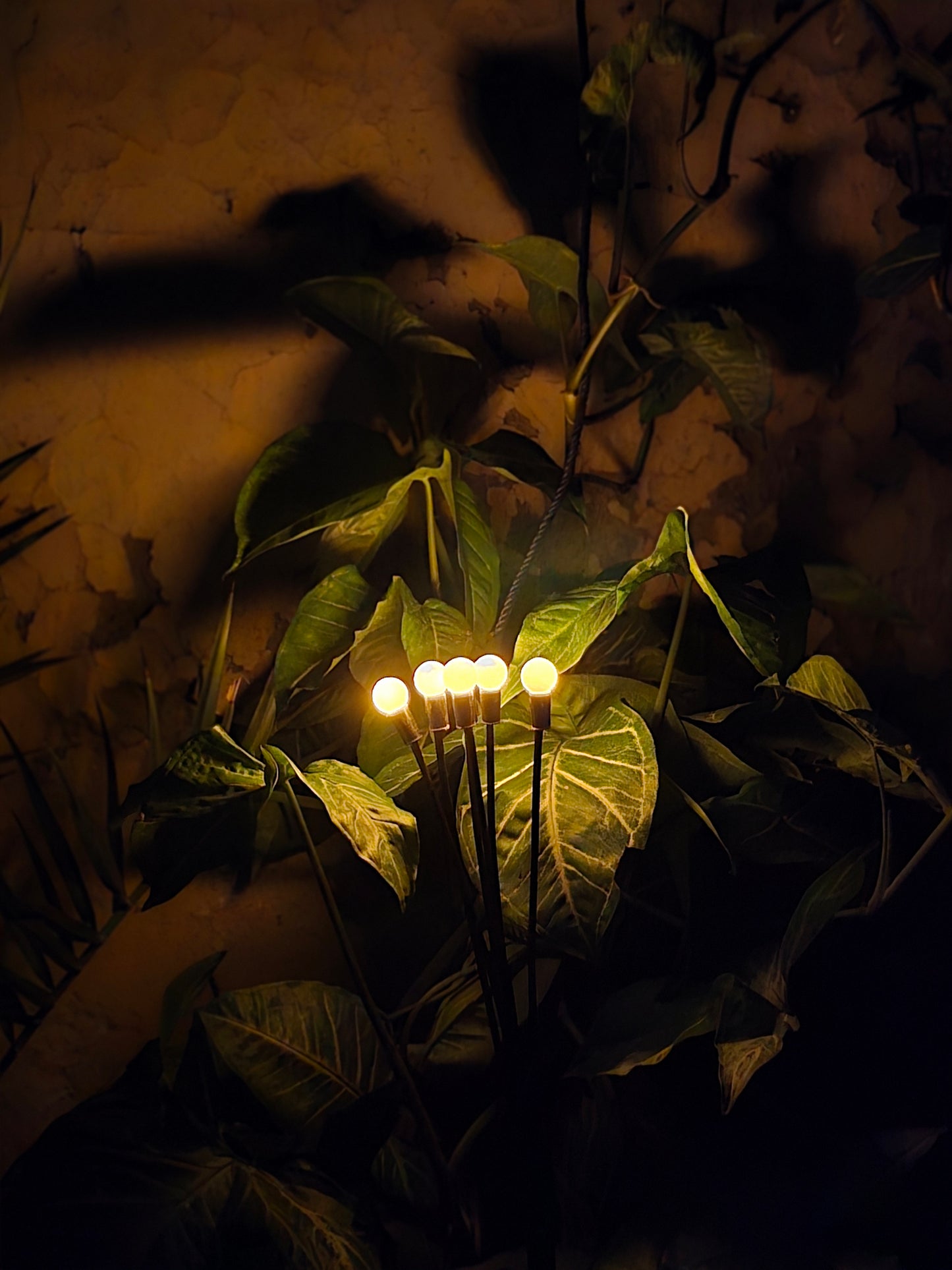 FireFly Solar Lights