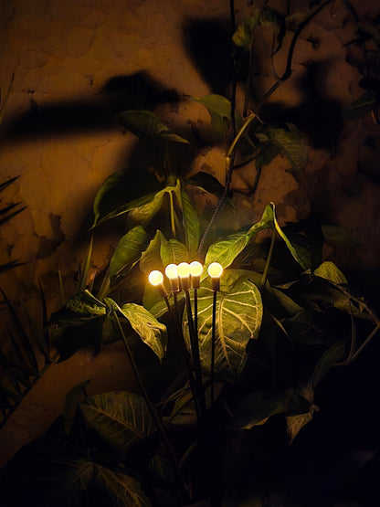 FireFly Solar Lights