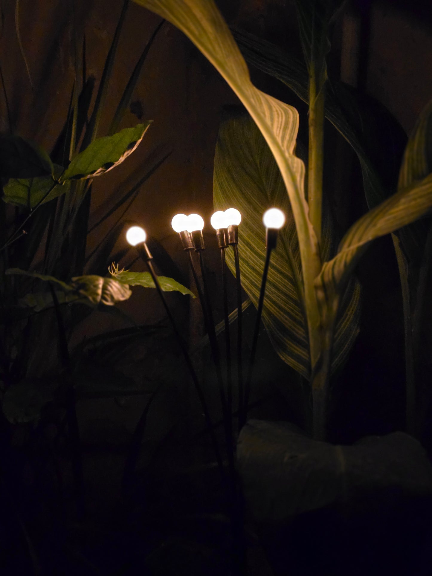 FireFly Solar Lights