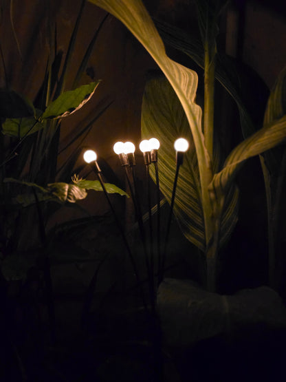 FireFly Solar Lights
