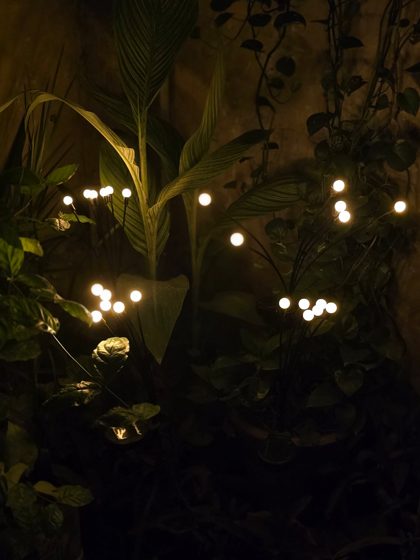 FireFly Solar Lights