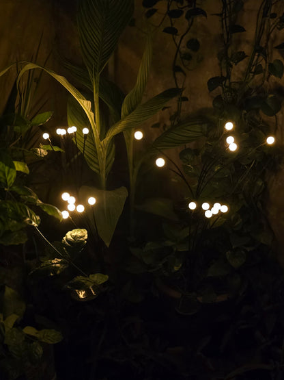 FireFly Solar Lights