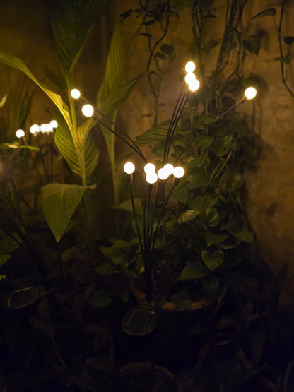 FireFly Solar Lights