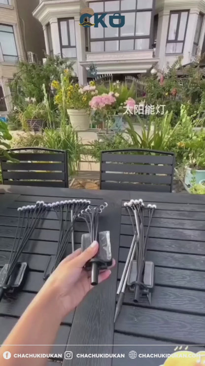 FireFly Solar Lights